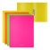 Folder with A4 clamp, 600 μm, spine 17 mm, Erichkrause Matt Neon, up to 160 sheets, mix