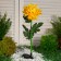 Garden lamp on the solar battery "Chrysanthemum Yellow", 75 cm, 1 LED, glow white