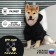 Folder Off-Dog for dogs (foot with a hose), size M (DS 29, Osh 38-42, OG 50-54), Black