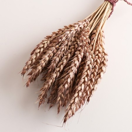 A set of dried flowers "wheat", a ban 35-40 pcs, length 55-65 (+/- 6 cm), brown-2