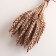 A set of dried flowers "wheat", a ban 35-40 pcs, length 55-65 (+/- 6 cm), brown