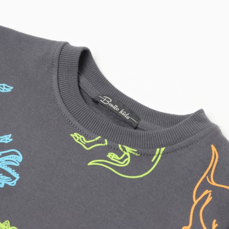Sweatshirt for boys, graphite/dino color, height 116-1