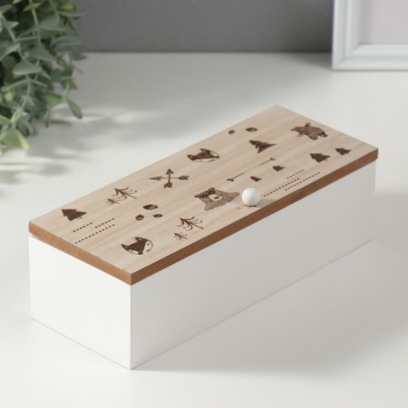 Casket tree with divisions "Forest Beasts" 23x9x8.3 cm-1