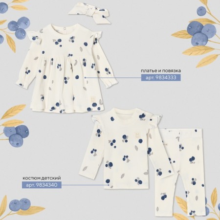 Body with DL. Sleeve crumb I am Blueberry p. 74-80, milk-6