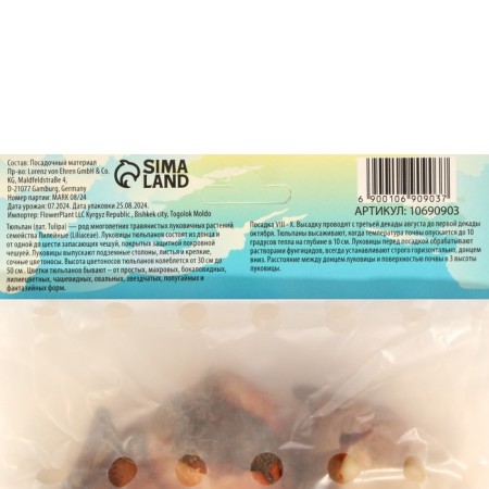 Tulip Negrit, river 12/+, 5pcs, autumn 2024-2