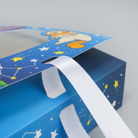Gift-firing box, packaging, “space animals”, 20 x 18 x 5 cm-6