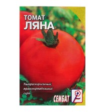 Seeds Tomat 