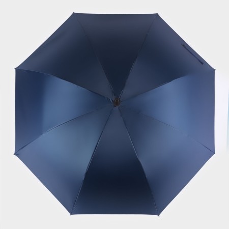 Umbrella - semi -automatic cane "plain", 8 spokes, r = 61 cm, blue color-4