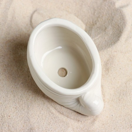 Set of Kashpo "Shell" 6pcs, 8x6x8cm, White-3