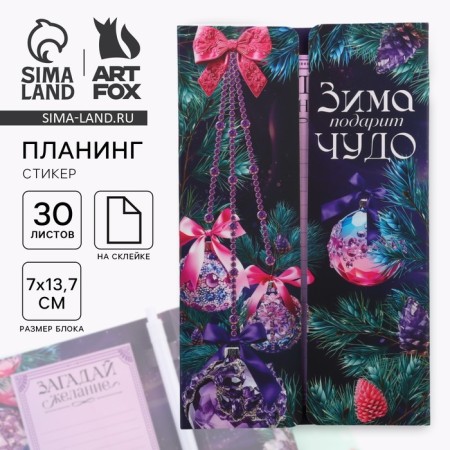Set "Winter will give a miracle! Your best year!", Planning styles 30 l, pen Plastic
