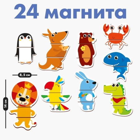 Developing magnets "Collect animals" (set 24 pcs)-1
