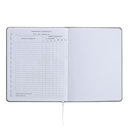 The universal diary for grade 1-11 did not take the sausage, solid cover, artificial leather, with foam rubber, liesse, 80 g/m2-11