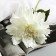 Artificial flowers "Georgin Extra Galant" 60 cm D-15 cm, white