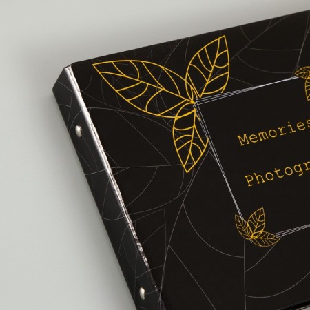 Photo album 25 sheets (corners+rings) "Leaves on black" gold 19x27x3 cm-6