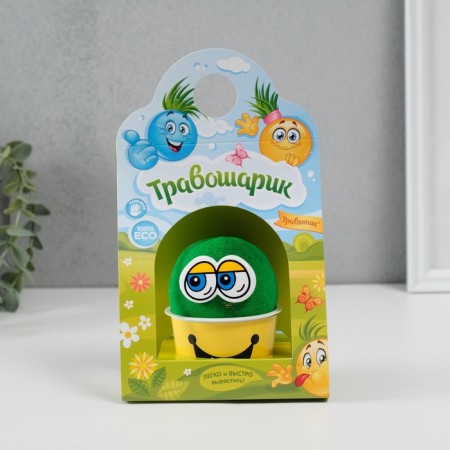 Growing gift grass "Physosarik" mix-4