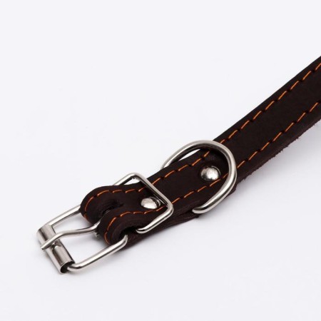 The collar is a single -layer leather, embossed “barking. I bit ", 48x2, Osh 32-43 cm, brown with gold-3