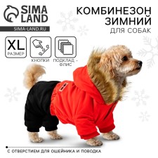 Clothing for dogs. Combineson Winter 
