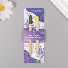 Growing gift pencils Mini 