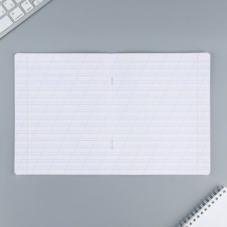 Notebook of 12 sheets in the roeer “September 1: Fluffy pets”, covered cardboard, block No. 1, 5 species mix-2