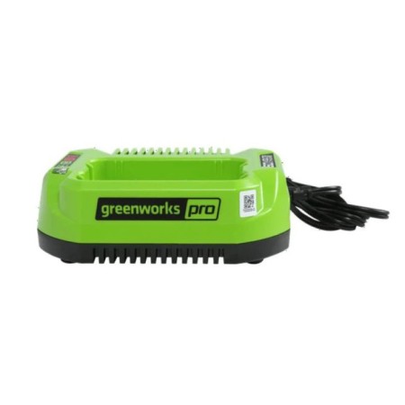 Charger GreenWorks G60UC, 60 V, 2 A, Li-Ion-1