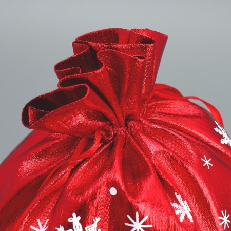 Gift Boach Boach "New Year's Gifts", 20 x 30 cm +/- 1.5 cm, New Year-3