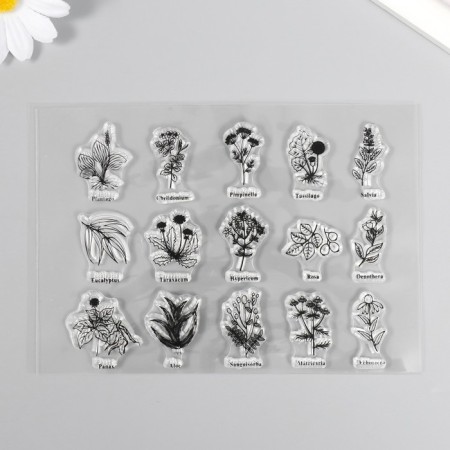 Stamp for creativity Silicon "Botanika" 16x11 cm