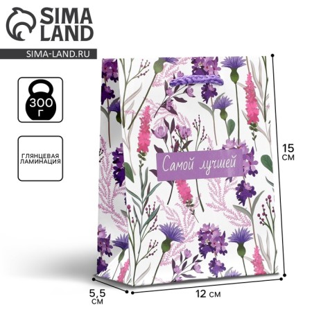Gift Package laminated, packaging, “the best”, s 12 x 15 x 5.5 cm
