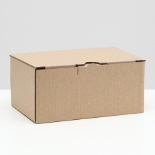 Penal box, brown, 22 x 15 x 10 cm