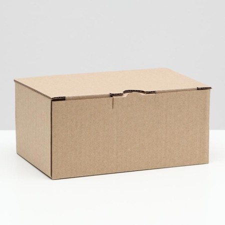 Penal box, brown, 22 x 15 x 10 cm