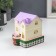 Pig a case Plastic "Pyosik hiding coins" 10x11.5x11 cm