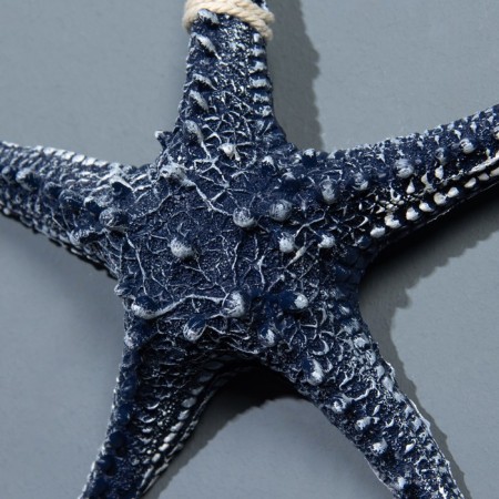 Interior souvenir "Marine Star" 16cm-2