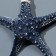 Interior souvenir "Marine Star" 16cm