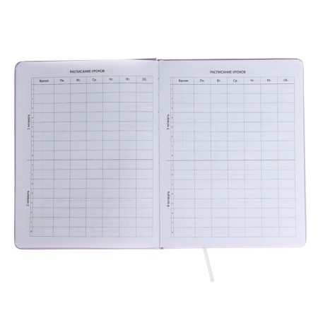 Universal diary for grade 1-11 Confidential, hard cover, artificial leather, foam rubber, liesse, 80 g/m2-4
