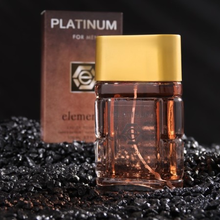 Male Water Platinum Elements, 100 ml (based on Sauvage (C.Dior)-2