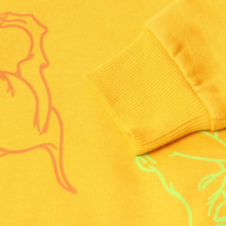 Svitshot for a boy, dark yellow/dino color, height 98 cm-2
