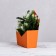 Trapection envelope is monophonic, orange 19.5 x 23 x 8 cm