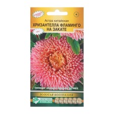 Seeds of Flowers of Astra Chinese 