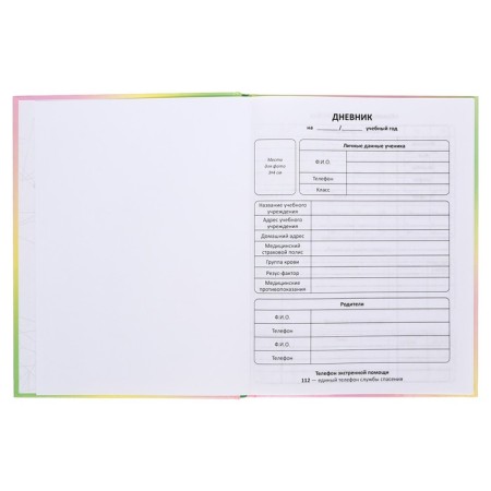Diary solid cover 1-11 grade 48 sheets, "cat-butterfly2", cardboard cover 7BC, glossy lamination, cheat sheet-3