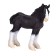 Figure Konik "Shayrian foal"