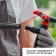 3-fly spray, fitting for hoses 1/2 -3/4 ", peak, plastic," beetle "