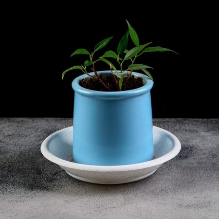 Patron for pot, d = 12 cm, plastic, color marble-3