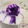 Bant-Shar No. 3, simple, purple