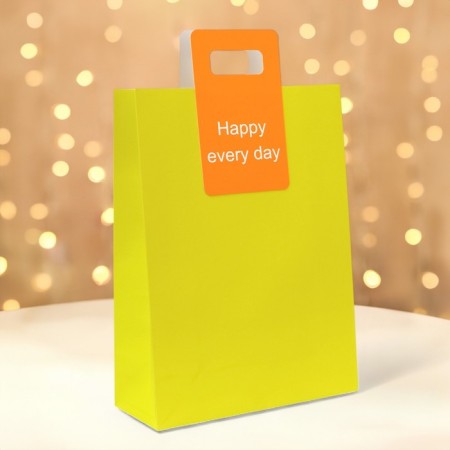 Gift package with a cut -off pen 30 x 40 x 12 cm, lime