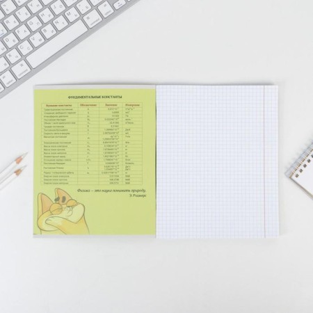 Substance notebook 48 sheets, A5, characters, with reference materials “September 1: Physics”, covered Cardboard 230 gr., Inner block in a cage 80 gr., White is 96%-2