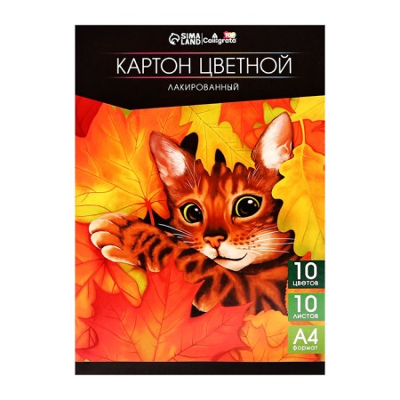 Cardboard Lacked A4, 10 sheets, 10 colors, calligrata top, one -sided, 200 g/m2, in the folder-1