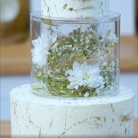 Falseyarus for the cake, cylinder, d = 20 cm, h = 12 cm, the color is transparent-5