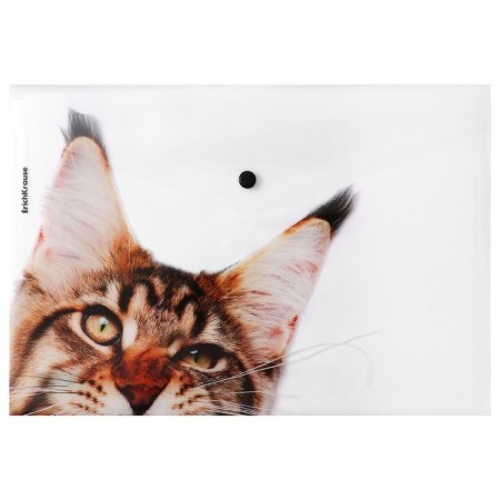 A4 button, 160 μm, Erichkrause "Hiding Cats", translucent, mix, mix-2