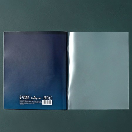 A set of subjects Calligrata Top "School style", 48 sheets, 10 items, with reference material, plastic cover, offset unit-8