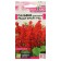 Salvia flowers "Reddi Bright", ed, sparkling, sed. Alt, c/n, 5 pcs