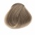 Tone 8.1 Ash blond